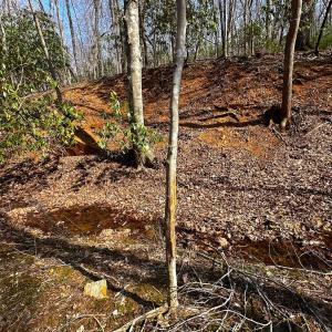 Photo #22 of Off of Blueberry Lane, Stuart, VA 48.1 acres