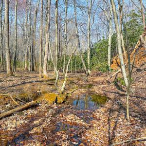 Photo #24 of Off of Blueberry Lane, Stuart, VA 48.1 acres