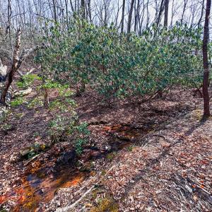 Photo #26 of Off of Blueberry Lane, Stuart, VA 48.1 acres