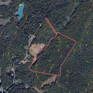 Photo #28 of Off of Blueberry Lane, Stuart, VA 48.1 acres