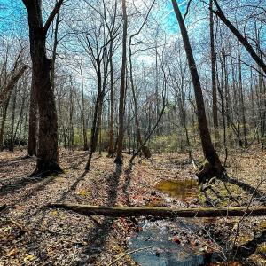 Photo #4 of Off of Blueberry Lane, Stuart, VA 48.1 acres