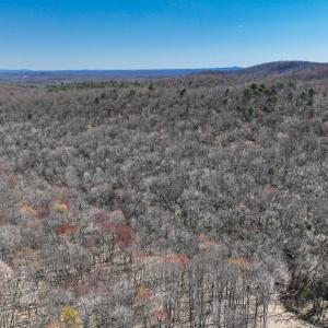 Photo #5 of Off of Blueberry Lane, Stuart, VA 48.1 acres