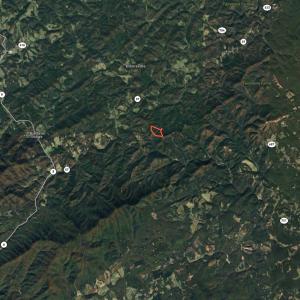 Photo #40 of Off Pole Bridge Road, Stuart , VA 41.2 acres