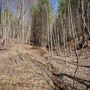 Photo #10 of Off of Willard Creek Lane, Stuart, VA 180.0 acres