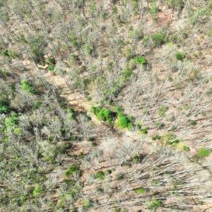 Photo #13 of Off of Willard Creek Lane, Stuart, VA 180.0 acres