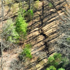 Photo #17 of Off of Willard Creek Lane, Stuart, VA 180.0 acres