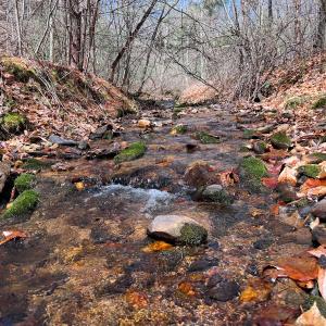 Photo #18 of Off of Willard Creek Lane, Stuart, VA 180.0 acres