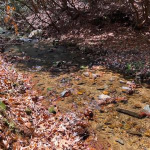 Photo #19 of Off of Willard Creek Lane, Stuart, VA 180.0 acres