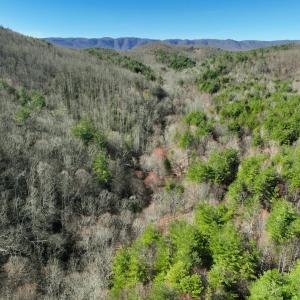 Photo #1 of Off of Willard Creek Lane, Stuart, VA 180.0 acres