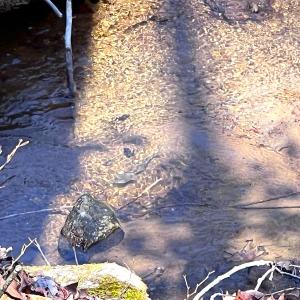 Photo #20 of Off of Willard Creek Lane, Stuart, VA 180.0 acres