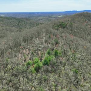 Photo #22 of Off of Willard Creek Lane, Stuart, VA 180.0 acres