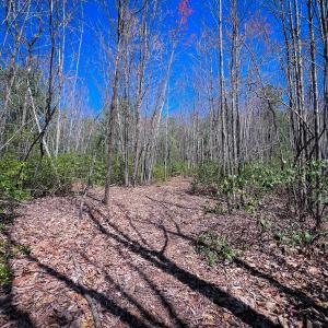 Photo #24 of Off of Willard Creek Lane, Stuart, VA 180.0 acres