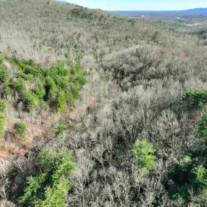 Photo #26 of Off of Willard Creek Lane, Stuart, VA 180.0 acres