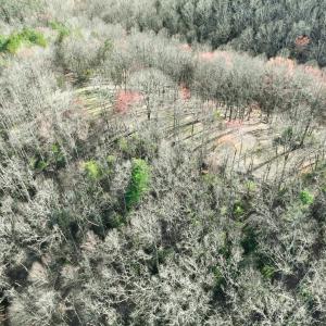 Photo #28 of Off of Willard Creek Lane, Stuart, VA 180.0 acres