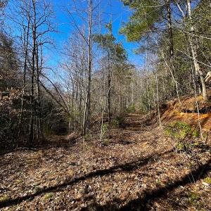 Photo #29 of Off of Willard Creek Lane, Stuart, VA 180.0 acres