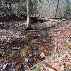 Photo #3 of Off of Willard Creek Lane, Stuart, VA 180.0 acres