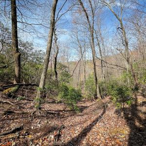 Photo #32 of Off of Willard Creek Lane, Stuart, VA 180.0 acres