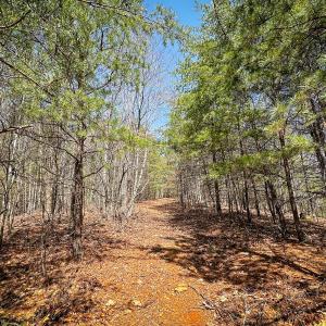Photo #33 of Off of Willard Creek Lane, Stuart, VA 180.0 acres