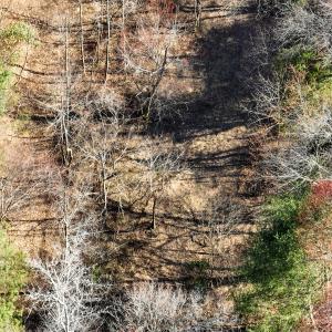 Photo #36 of Off of Willard Creek Lane, Stuart, VA 180.0 acres
