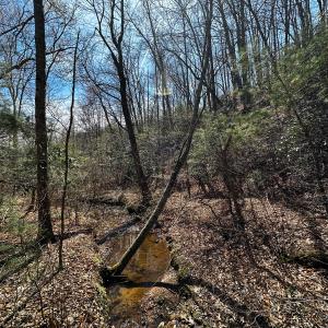 Photo #37 of Off of Willard Creek Lane, Stuart, VA 180.0 acres
