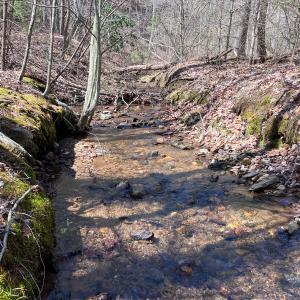 Photo #38 of Off of Willard Creek Lane, Stuart, VA 180.0 acres