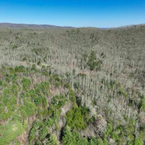 Photo #4 of Off of Willard Creek Lane, Stuart, VA 180.0 acres