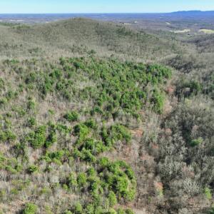 Photo #5 of Off of Willard Creek Lane, Stuart, VA 180.0 acres