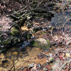 Photo #6 of Off of Willard Creek Lane, Stuart, VA 180.0 acres