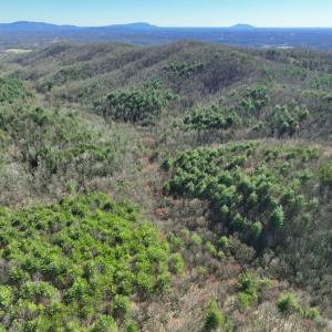 Photo #7 of Off of Willard Creek Lane, Stuart, VA 180.0 acres