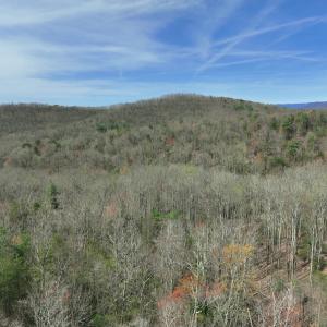 Photo #41 of Off of Willard Creek Lane, Stuart, VA 180.0 acres