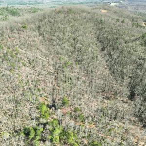 Photo #42 of Off of Willard Creek Lane, Stuart, VA 180.0 acres