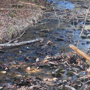 Photo #44 of Off of Willard Creek Lane, Stuart, VA 180.0 acres