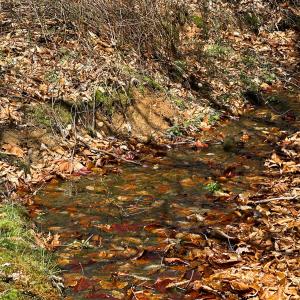 Photo #46 of Off of Willard Creek Lane, Stuart, VA 180.0 acres