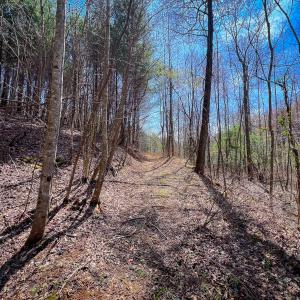 Photo #47 of Off of Willard Creek Lane, Stuart, VA 180.0 acres