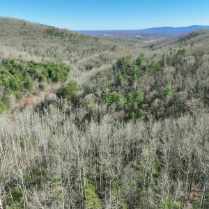 Photo #48 of Off of Willard Creek Lane, Stuart, VA 180.0 acres