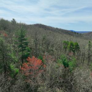Photo #49 of Off of Willard Creek Lane, Stuart, VA 180.0 acres