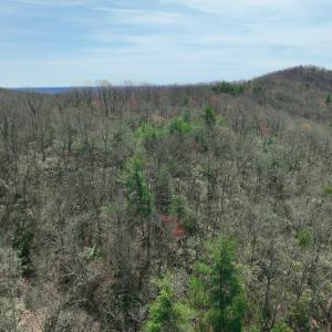 Photo #50 of Off of Willard Creek Lane, Stuart, VA 180.0 acres