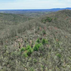 Photo #51 of Off of Willard Creek Lane, Stuart, VA 180.0 acres