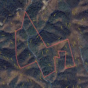 Photo #52 of Off of Willard Creek Lane, Stuart, VA 180.0 acres