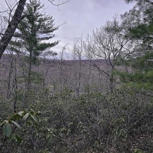 Photo #1 of Off Craig Woods Rd, New Castle, VA 2.8 acres