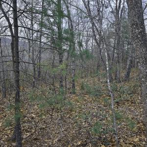 Photo #2 of Off Craig Woods Rd, New Castle, VA 2.8 acres