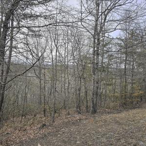 Photo #4 of Off Craig Woods Rd, New Castle, VA 2.8 acres