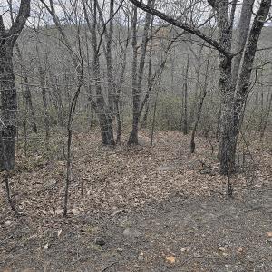 Photo #5 of Off Craig Woods Rd, New Castle, VA 2.8 acres