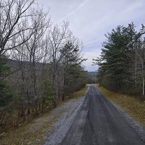 Photo #7 of Off Craig Woods Rd, New Castle, VA 2.8 acres