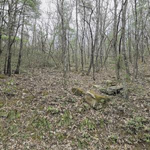 Photo #12 of Off Craig Woods Rd, New Castle, VA 2.8 acres