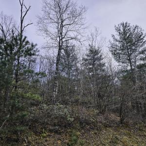 Photo #13 of Off Craig Woods Rd, New Castle, VA 2.8 acres