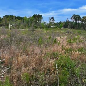 Photo #16 of Off Kelly Plantation Road, Carthage, NC 5.8 acres