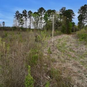 Photo #7 of Off Kelly Plantation Road, Carthage, NC 5.8 acres