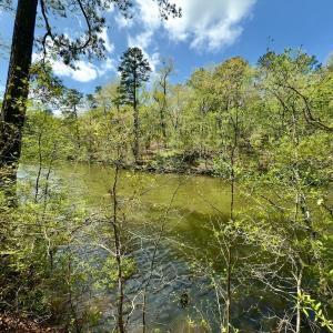 Photo #12 of Off North State Lane, Rockingham, NC 1.1 acres