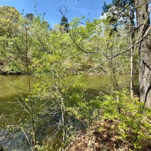 Photo #13 of Off North State Lane, Rockingham, NC 1.1 acres